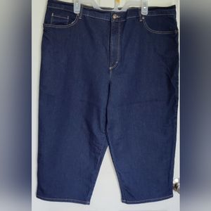 Gloria Vanderbilt Amanda Capri Pants Size 24W